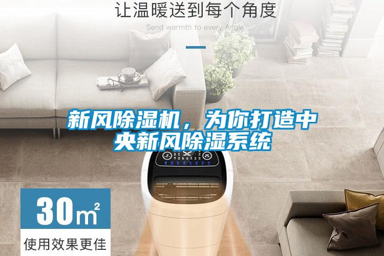 新風除濕機，為你打造中央新風除濕系統