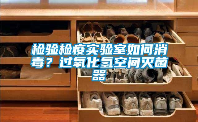 檢驗檢疫實驗室如何消毒？過氧化氫空間滅菌器