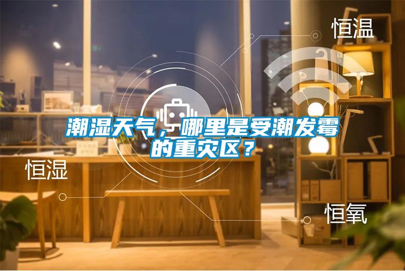 潮濕天氣，哪里是受潮發霉的重災區？