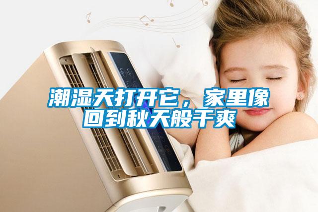潮濕天打開它，家里像回到秋天般干爽
