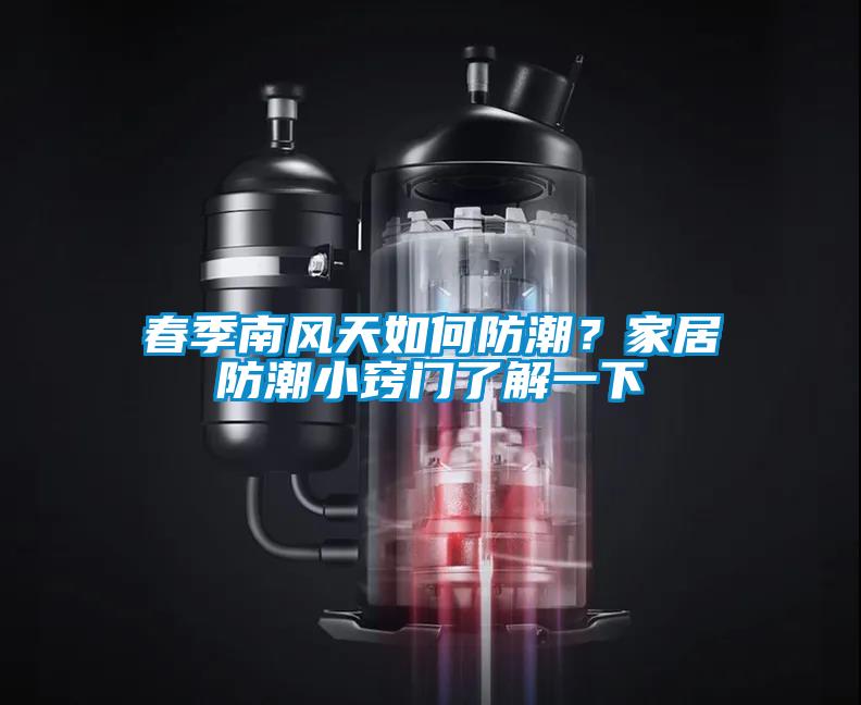 春季南風天如何防潮？家居防潮小竅門了解一下