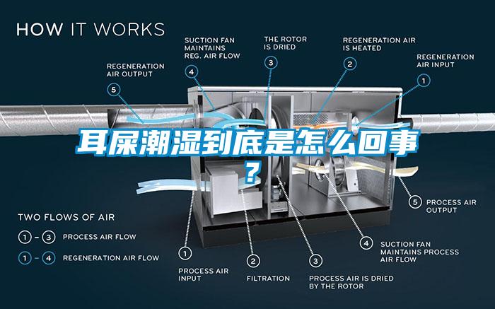 耳屎潮濕到底是怎么回事？