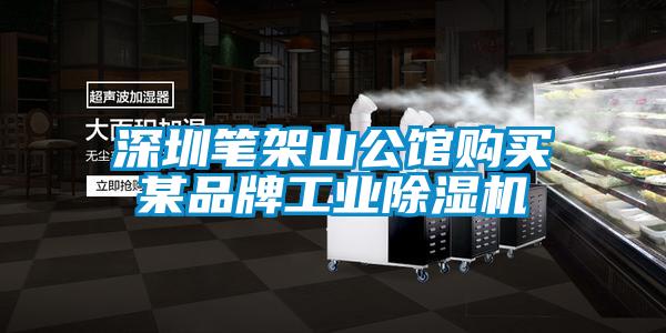 深圳筆架山公館購買某品牌工業除濕機