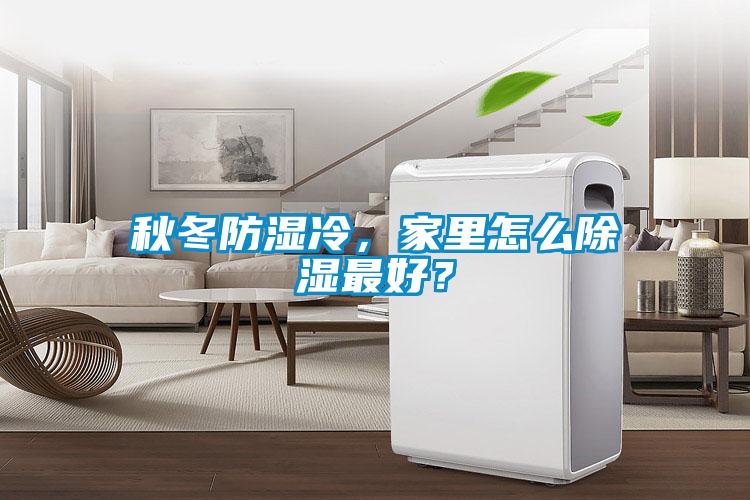秋冬防濕冷，家里怎么除濕最好？