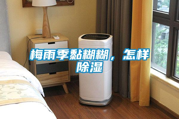 梅雨季黏糊糊，怎樣除濕