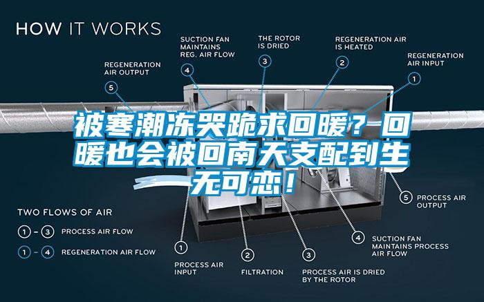 被寒潮凍哭跪求回暖？回暖也會被回南天支配到生無可戀！