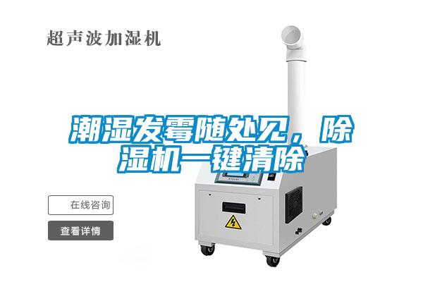 潮濕發霉隨處見，除濕機一鍵清除