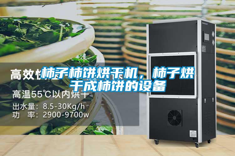 柿子柿餅烘干機，柿子烘干成柿餅的設備