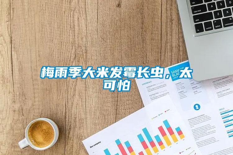 梅雨季大米發霉長蟲，太可怕