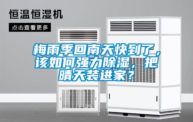 梅雨季回南天快到了，該如何強力除濕，把晴天裝進家？