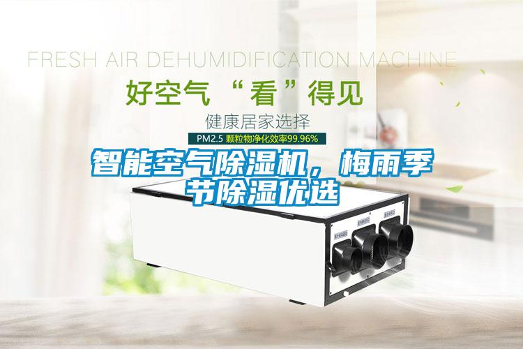 智能空氣除濕機，梅雨季節除濕優選