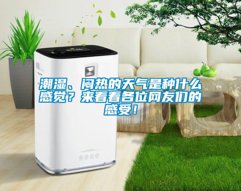 潮濕、悶熱的天氣是種什么感覺？來看看各位網友們的感受！