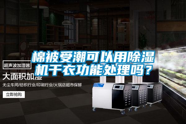 棉被受潮可以用除濕機干衣功能處理嗎？