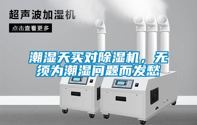潮濕天買對除濕機，無須為潮濕問題而發愁