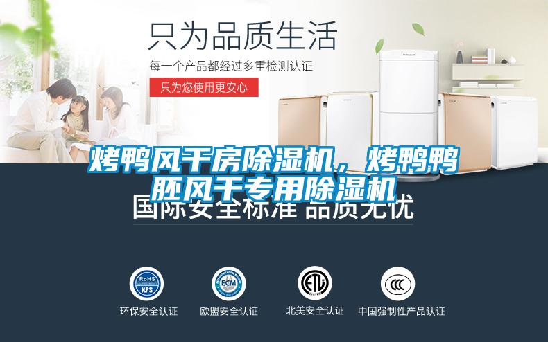 烤鴨風干房除濕機，烤鴨鴨胚風干專用除濕機