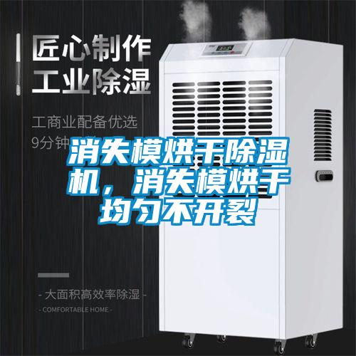 消失模烘干除濕機，消失模烘干均勻不開裂