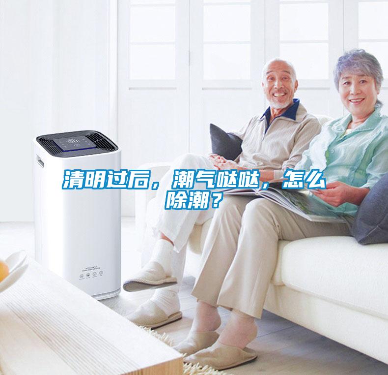 清明過后，潮氣噠噠，怎么除潮？