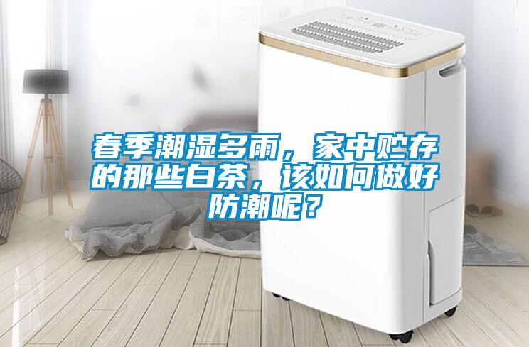 春季潮濕多雨，家中貯存的那些白茶，該如何做好防潮呢？