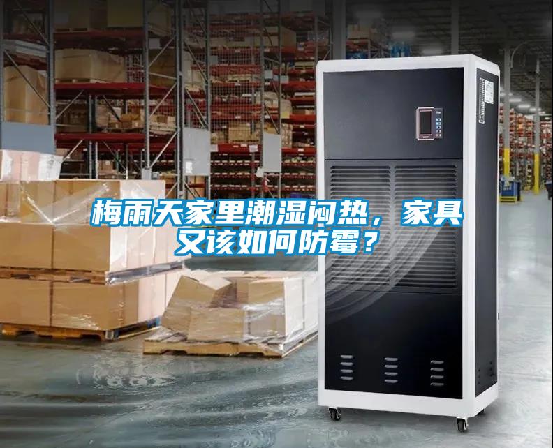 梅雨天家里潮濕悶熱，家具又該如何防霉？