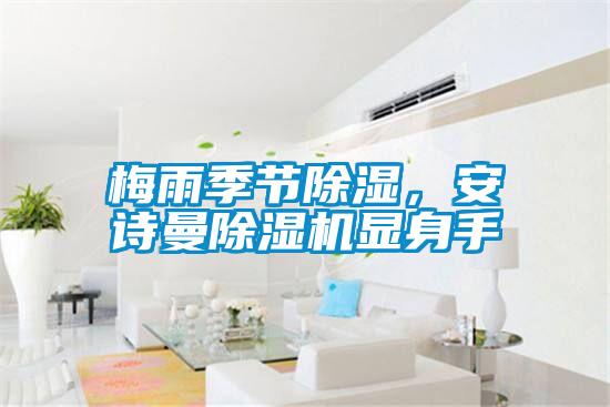梅雨季節除濕，安詩曼除濕機顯身手
