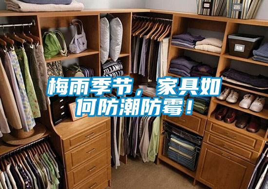 梅雨季節，家具如何防潮防霉！