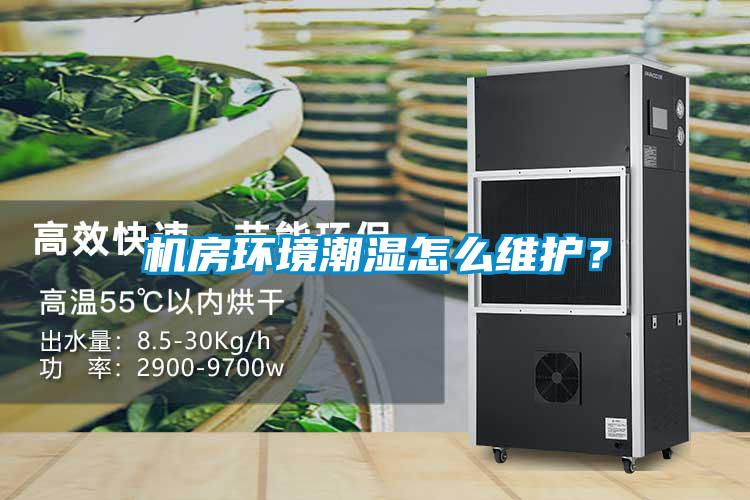 機房環境潮濕怎么維護？