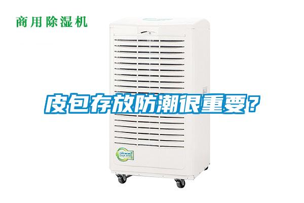 皮包存放防潮很重要？