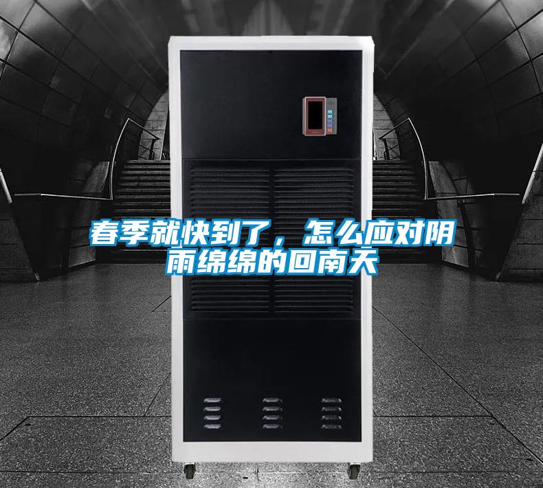 春季就快到了，怎么應對陰雨綿綿的回南天