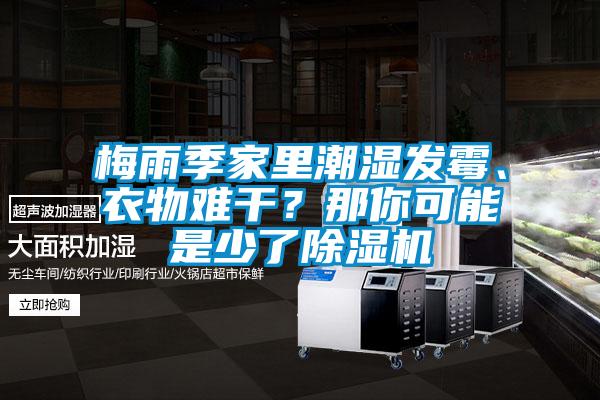 梅雨季家里潮濕發霉、衣物難干？那你可能是少了除濕機