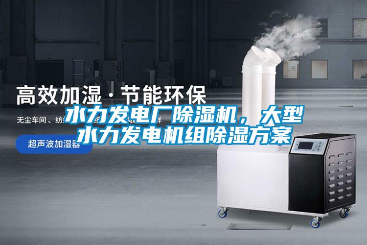 水力發電廠除濕機，大型水力發電機組除濕方案