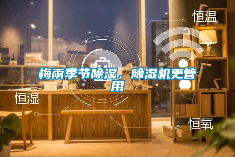 梅雨季節除濕，除濕機更管用