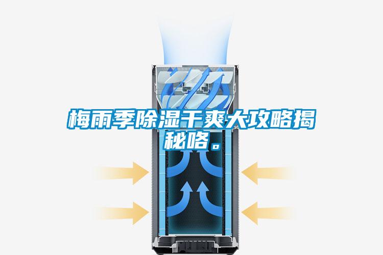 梅雨季除濕干爽大攻略揭秘咯。