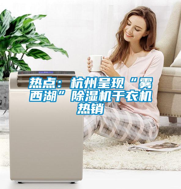 熱點：杭州呈現“霧西湖”除濕機干衣機熱銷