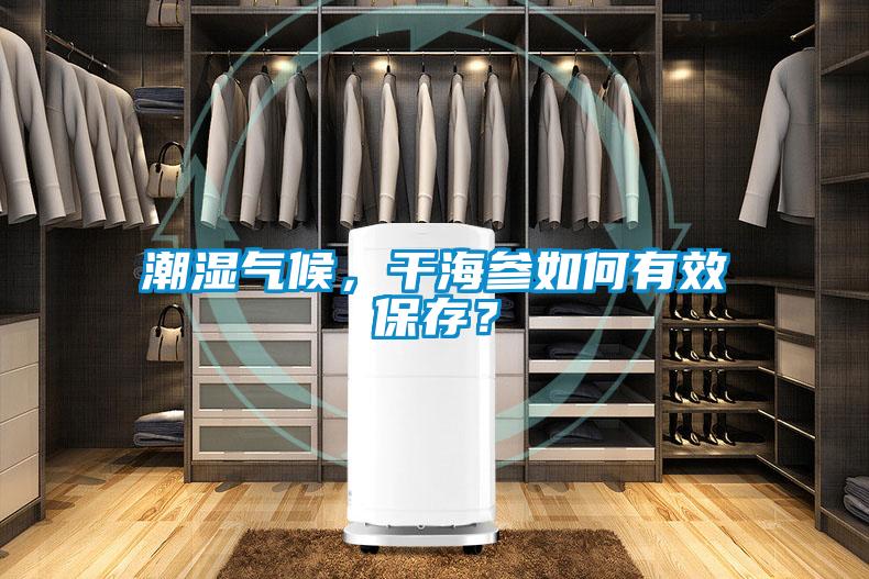 潮濕氣候，干海參如何有效保存？