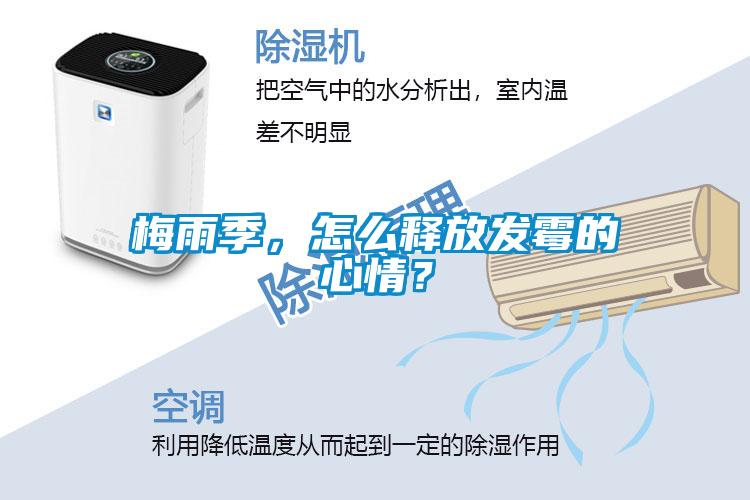 梅雨季，怎么釋放發霉的心情？