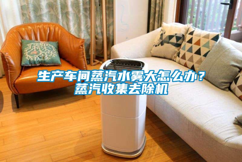 生產車間蒸汽水霧大怎么辦？蒸汽收集去除機
