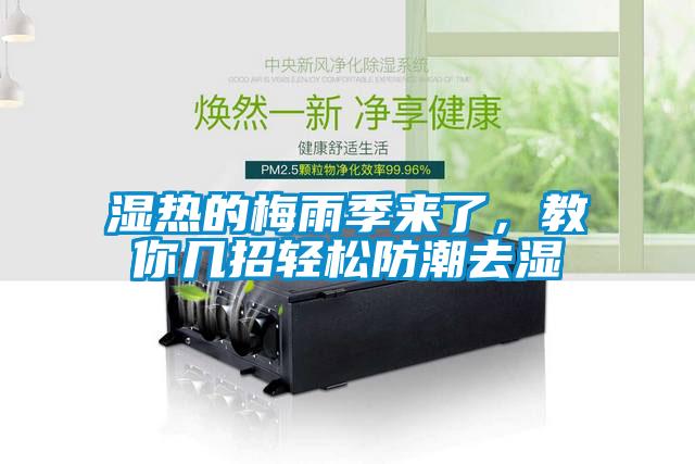 濕熱的梅雨季來了，教你幾招輕松防潮去濕