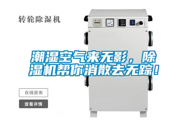 潮濕空氣來無影，除濕機幫你消散去無蹤！