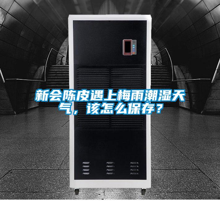 新會陳皮遇上梅雨潮濕天氣，該怎么保存？
