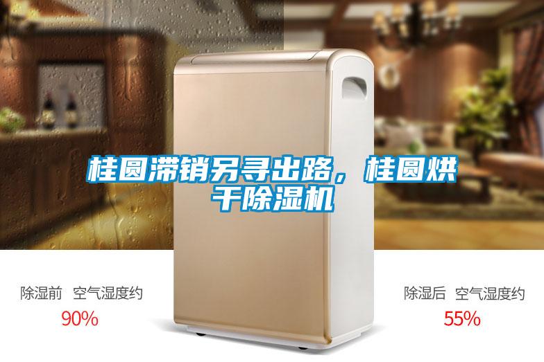桂圓滯銷另尋出路，桂圓烘干除濕機