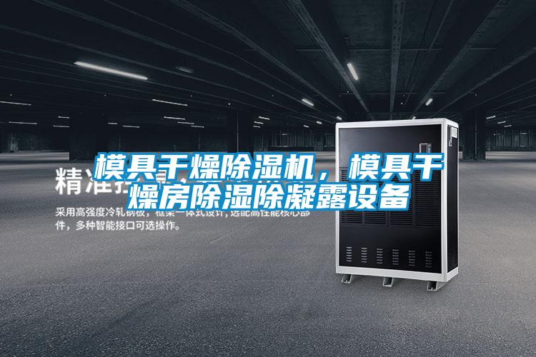 模具干燥除濕機，模具干燥房除濕除凝露設備