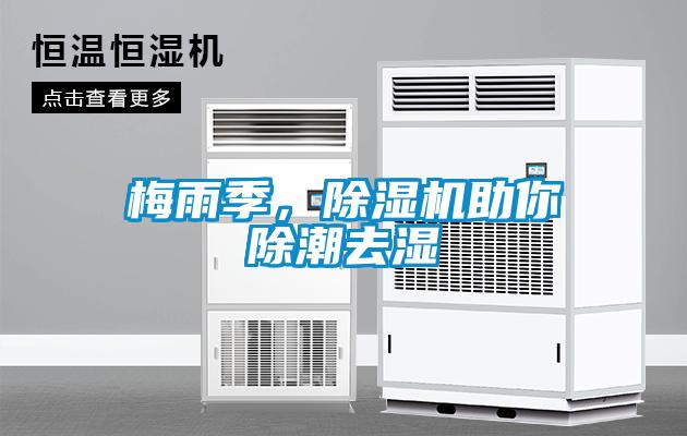 梅雨季，除濕機助你除潮去濕