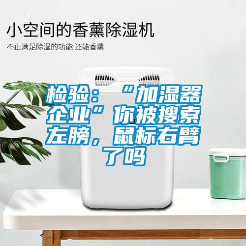 檢驗：“加濕器企業”你被搜索左膀，鼠標右臂了嗎