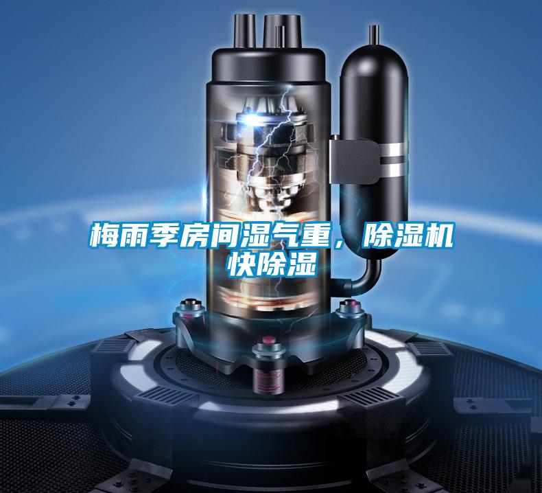 梅雨季房間濕氣重，除濕機快除濕
