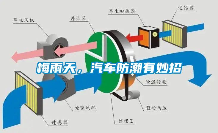 梅雨天，汽車防潮有妙招