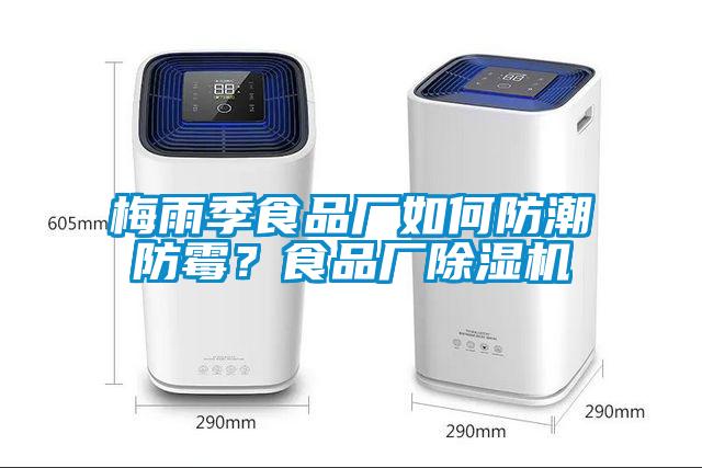 梅雨季食品廠如何防潮防霉？食品廠除濕機