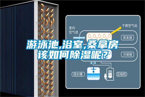 游泳池,浴室,桑拿房該如何除濕呢？