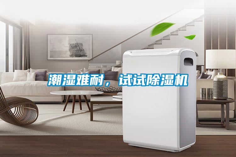 潮濕難耐，試試除濕機