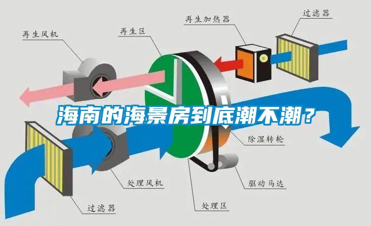 海南的海景房到底潮不潮？
