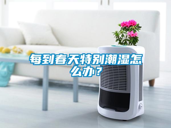 每到春天特別潮濕怎么辦？